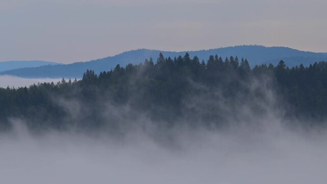 Poranne mgły, Beskid Sądecki, lato, widok g&oacute;rski