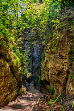A staircase descends through a rocky gorge in Saxon Switzerland