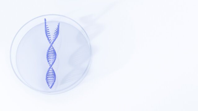 Separated DNA in petri dish, illustration