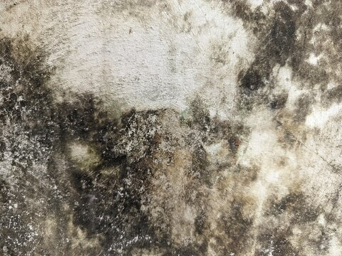 A weathered concrete surface covered with dense moss growth and rough textures.