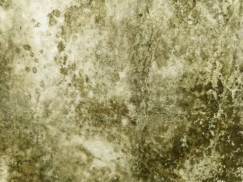 A weathered concrete surface covered with dense moss growth and rough textures.