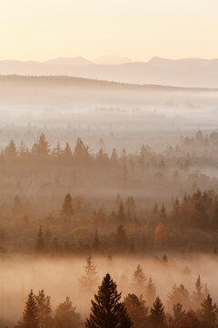 Germany, Bavaria, Upper Bavaria, View of pupplinger au near wolfratshausen in morning