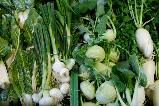 Germany, Bavaria, Variety of vegetables at organic food store