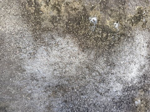 A close-up shot of a weathered concrete surface and rough textures.