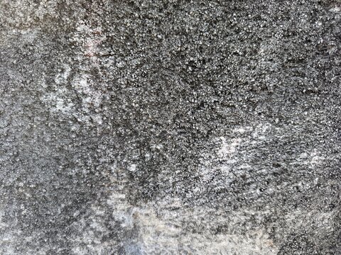 A weathered concrete surface covered with dense moss growth and rough textures.