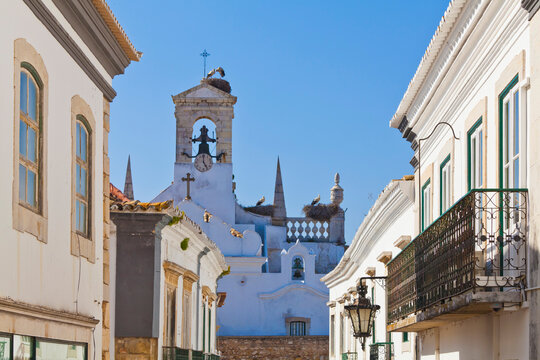 Portugal, Faro, Storks perching in birds nest on Arco da Vila
