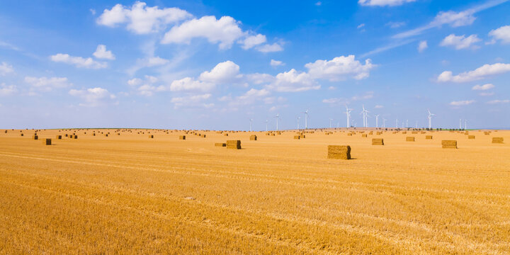 Germany, Saxony-Anhalt, Magdeburg Boerde, Stubble field with bales of straw and wind farm in background