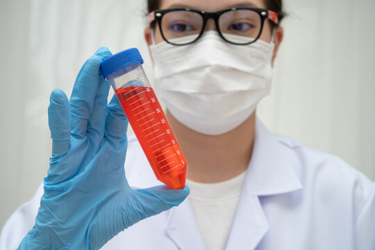 Scientist medical professional use test tube for research in science laboratory.