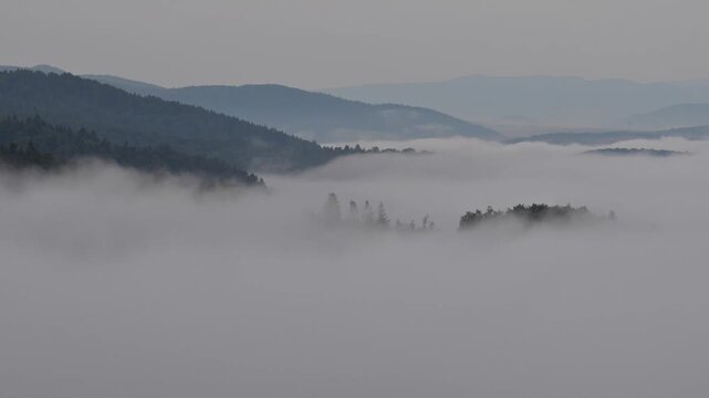 Poranne mgły, Beskid Sądecki, lato, widok g&oacute;rski
