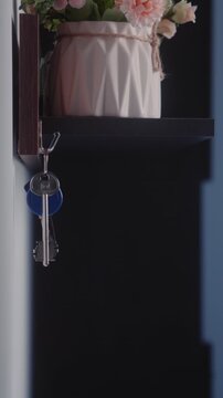 Hanging House Keys on Wall Hook Close up