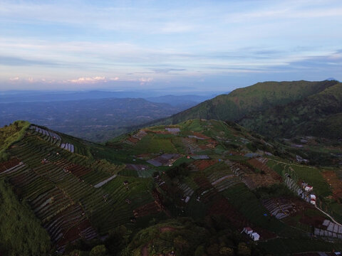 Aerial Drone View of Lush Green Rice Terraces on Hillsides in Indonesia