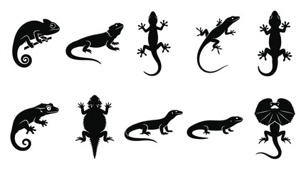 Fototapeta premium Vector graphic illustration collection featuring various black lizard silhouettes isolated on a clean white background design