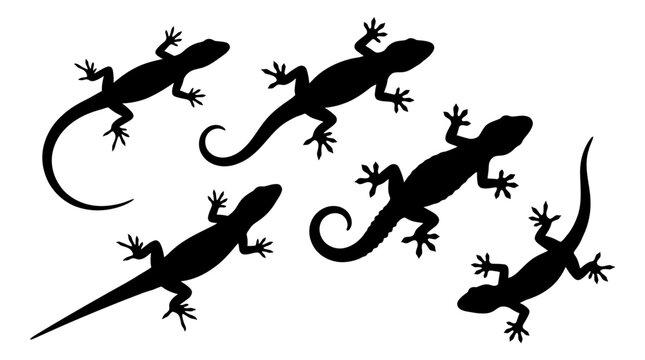 Black lizard silhouette vector illustration set featuring multiple reptiles in different poses for creative graphic designs