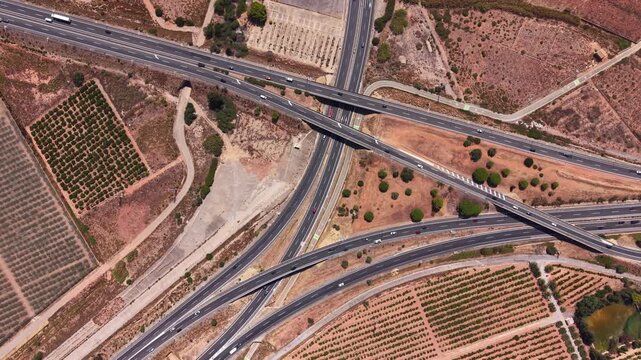 Bird's eye view of a complex multi-lane highway interchange with curved ramps and active traffic, bordered by rows of citrus orchards in a dry Spanish agricultural landscape