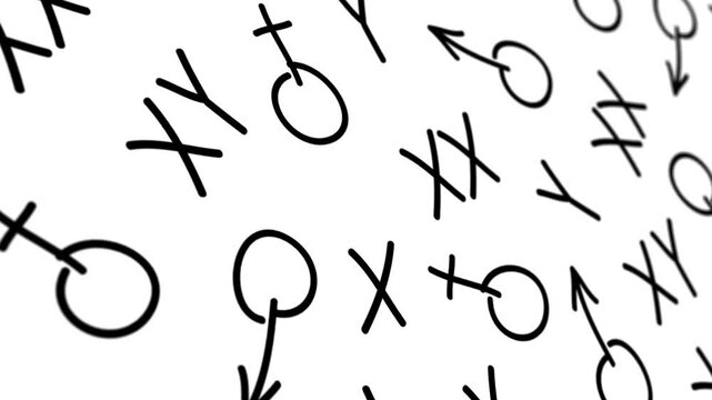 Male and female symbols - background loop