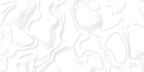 Abstract minimal discovery area topo map. white topo White creative wave grid stripe line map topography. geographic contour mounted map background. © haven lklkj11