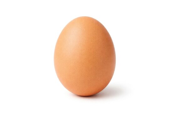 Brown Egg Isolated on White Background in Smooth Surface
