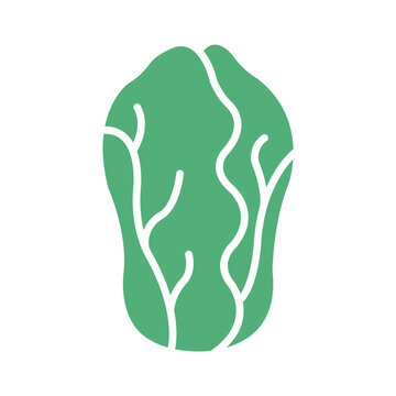 Lettuce icon