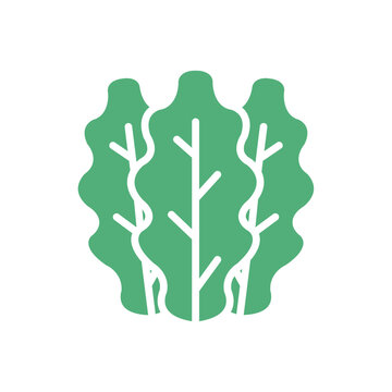 Kale icon
