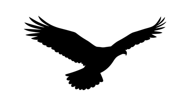 Soaring eagle with outstretched wings a black silhouette