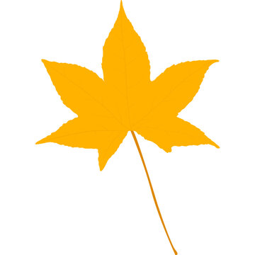 Orange maple leaf icon with detailed veins. Autumn nature and seasonal vector illustration.