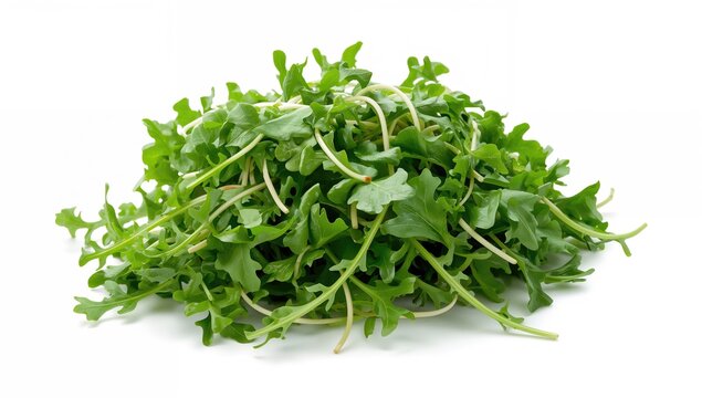 Fresh Arugula Leaves Piled in a Bunch on White Background