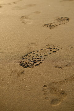 Trekking Boot Sole Tread Imprint in Golden Beach Sand, Outdoor Adventure and Travel Concept