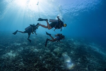 Three Scuba Divers Exploring Coral Reef in West Nusa Tenggara, Indonesia © Nimesh