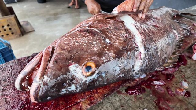Person filleting large freshly caught fish on wet market table, close up view