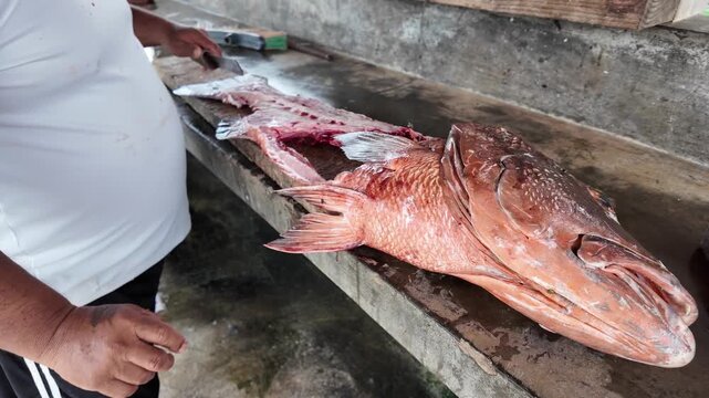 Worker manually removing backbone from large fresh snapper on rustic prep table