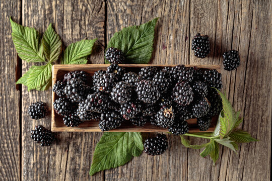 Ripe juicy blackberries with leaves on a wooden table.