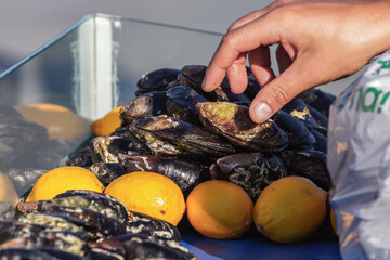 Hand selecting fresh black mussels beside lemons at a seafood market © Elena