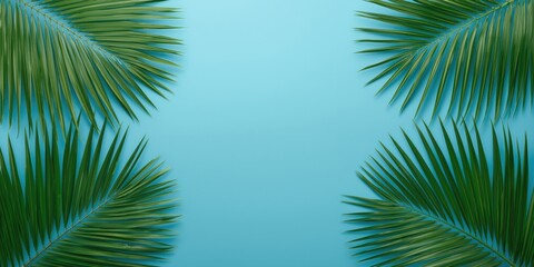 Naklejka premium Tropical Palm Leaves Framing a Light Blue Background in a Symmetrical Layout