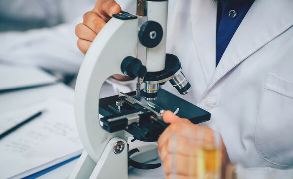 Scientist or researchers working in science laboratory, medical technology research work, science laboratory research and development concept.