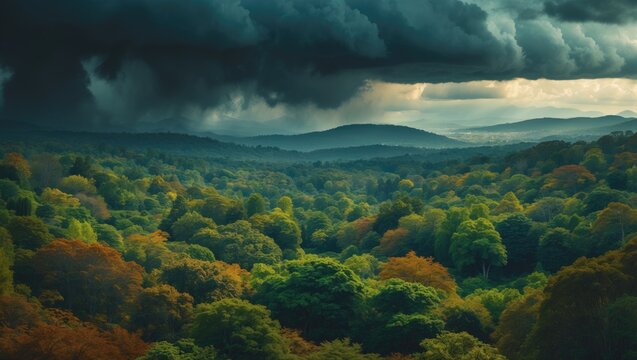 Dramatic Forest Landscape Under Dark Storm Clouds with Autumn Colors