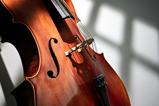 Cello close up on bridge and f-hole against dark background for music concept
