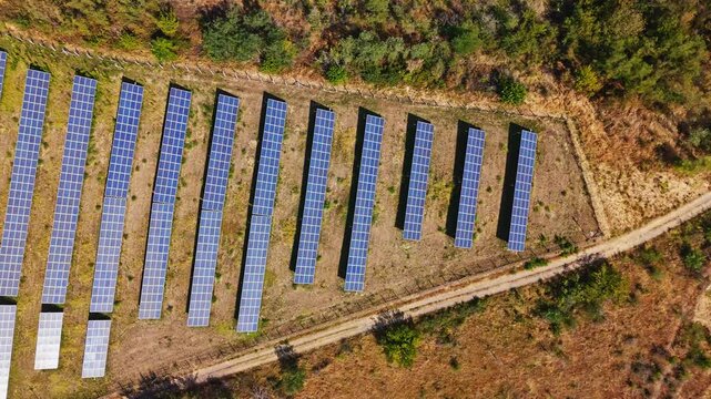 Aerial view of rows of photovoltaic solar panels installed on a rural field with a dirt path and surrounding trees in Beocin, Vojvodina, Serbia.