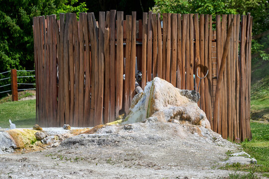 Thermal spring source with mineral deposits near wooden fence at salt hill, Egerszalok, Heves, Hungary, Europe