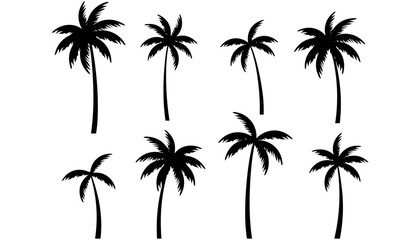 Fototapeta premium Tropical Palm Tree Silhouette Vector Set with Black Isolated Coconut Trees for Summer Beach Party Travel and Resort Graphic Designs