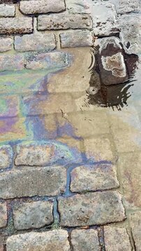 Rainbow Oil Sheen on a Street Puddle Vertical Video