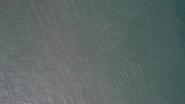 A subtle, fine-grained matte surface with a gentle cool gradient, ideal for a neutral backdrop.