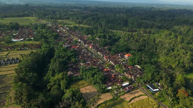 Aerial view of a traditional village in Bali with penjor decorations surrounded by lush rice terraces and tropical greenery in Kecamatan Tegallalang, Bali, Indonesia.