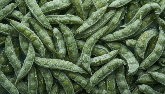 Frozen Green Edamame Pods in a Closeup Arrangement