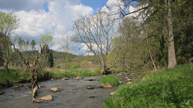 relaxing view on a flowing creek with nature sounds