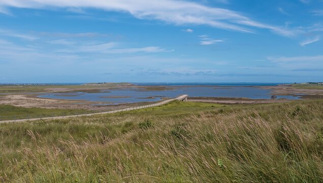 Scenic Coastal Landscape with Grass and Calm Waters Under Blue Sky