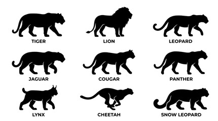 Obraz premium Big cat animal silhouette icon set in a flat black style including tiger, lion, leopard, jaguar, cougar, panther, lynx, cheetah and snow leopard.