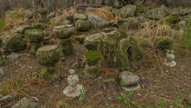 Moss Covered Stone Structures in a Woodland Area with Dry Grass