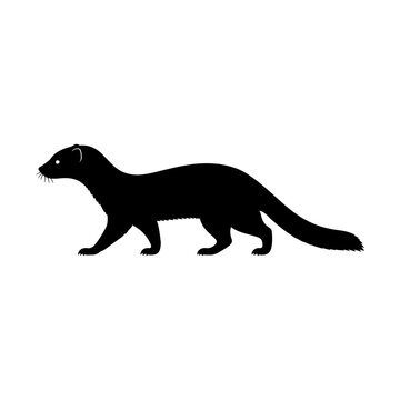 Black silhouette of a mongoose facing forward on a white background