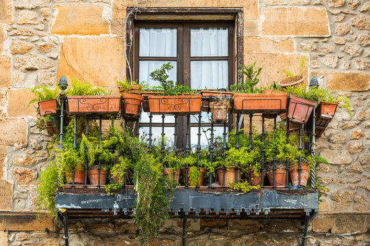 Mit Pflanzen voll gestellter historischer Balkon in Comillas, Spanien