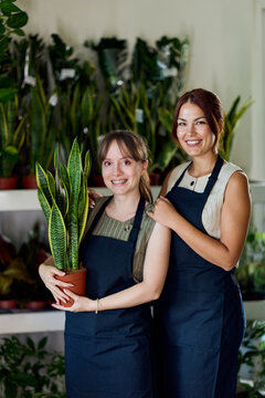 Two Female Florists Smiling in Plant Shop Holding a Snake Plant, Small Business Team
